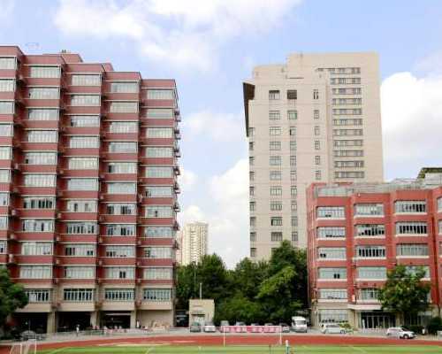 <b>代怀妈价格表,助孕的中药有哪些？</b>